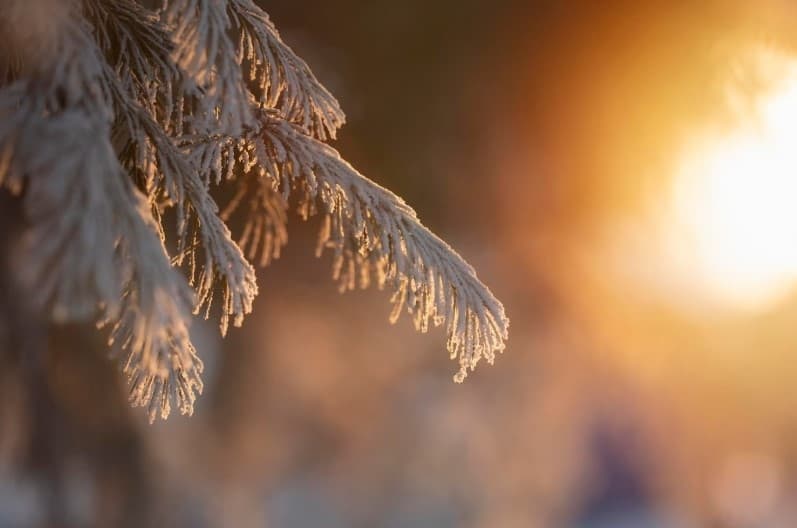 Самая морозная ночь с начала зимы пришла в Москву